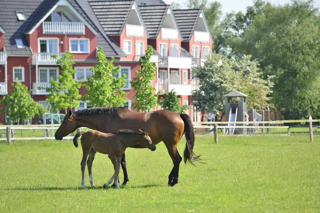 Strandhafer Aparthotel Росток Екстериор снимка