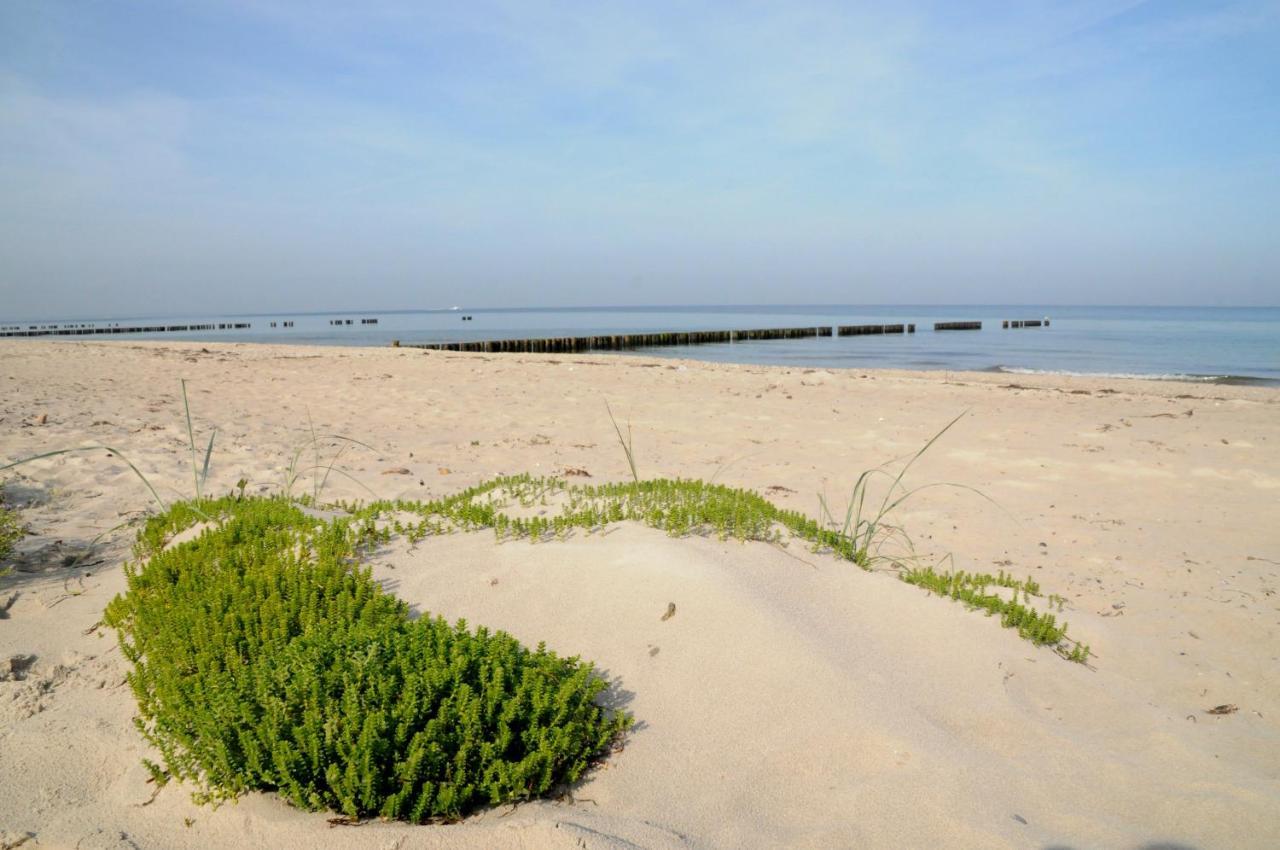 Strandhafer Aparthotel Росток Екстериор снимка